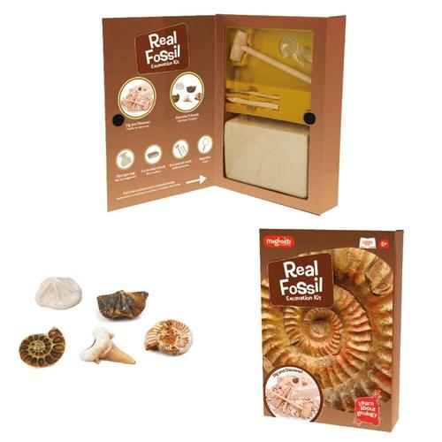 Kit paleontologie  Descopera fosile - 0 | YEO