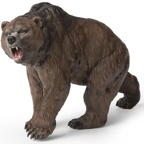 Aceasta este imaginea corespunzatoare acestui obiect