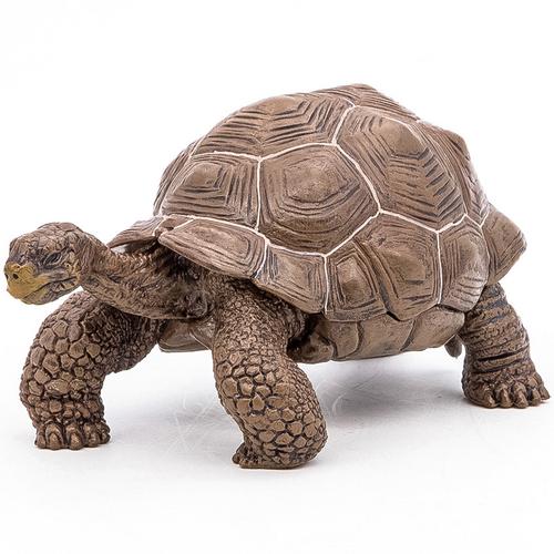 Figurina Papo - Animale salbatice, Testoasa galapagos