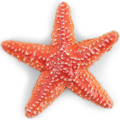 Aceasta este imaginea corespunzatoare acestui obiect