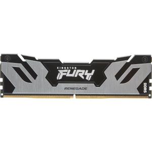 Memorie Kingston FURY Renegade Silver 32GB DDR5 6400MHz CL32