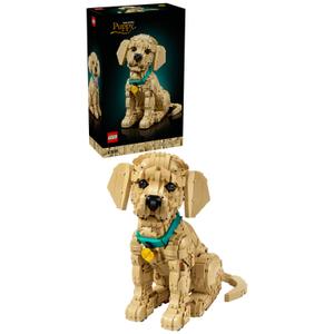 LEGO® Icons - Catelus Golden Retriever 11384, 2102 piese