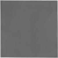 Pad Termic Thermal Grizzly Minus Pad Extreme 2, 100 x 100 x 0.5 mm